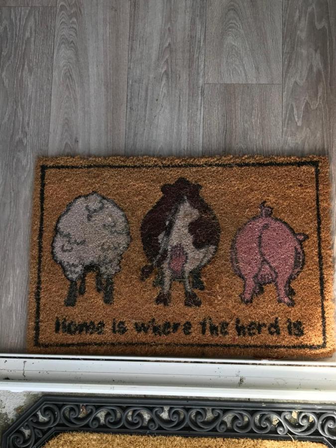 Brigid M'S Farm House Killashandra Dış mekan fotoğraf