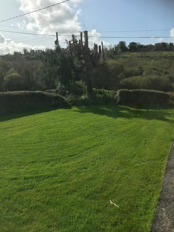 Brigid M'S Farm House Killashandra Dış mekan fotoğraf